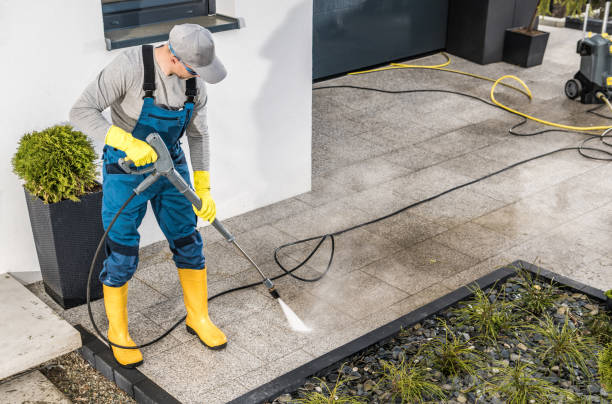 Best Specialty Cleaning in Golden Valley, MN